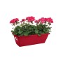 Pot de fleurs pour balcon Elho Barcelona 50 19,5 x 50 x 15,6 cm Rouge Violet Plastique