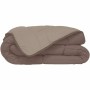 Edredon Poyet Motte Beige Marron 200 g/m² (240 x 260 cm)