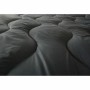 Edredon Abeil Gris Blanc (240 x 260 cm)