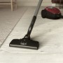 Aspirateur Electrolux PD82-ANIMA