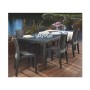 Table d'appoint IPAE Progarden 08330127 Anthracite polypropylène (150 x 220 x 90 cm)