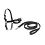 Harnais pour Animaux Domestiques PetSafe Easy Walk Noir 53 cm (S)