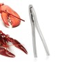 Pince à fruits de mer Metaltex Acier inoxydable 15 cm