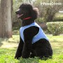 Gilet Rafraîchissant pour Animaux de Compagnie de Taille Moyenne InnovaGoods - M