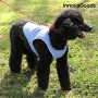 Gilet Rafraîchissant pour Animaux de Compagnie de Taille Moyenne InnovaGoods - M