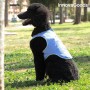 Gilet Rafraîchissant pour Animaux de Compagnie de Taille Moyenne InnovaGoods - M