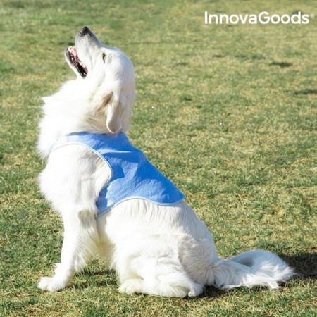 Gilet Rafraîchissant pour Grands Animaux de Compagnie InnovaGoods - L