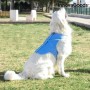 Gilet Rafraîchissant pour Grands Animaux de Compagnie InnovaGoods - L