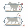 Bac à litière pour chats Georplast SONIC BIG (Reconditionné B)