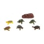 animaux Tortue Lot