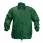 Impermeable 143875 Hombre (50 Unidades)