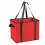 Organizador Plegable para el Coche Thermic Dynamics 145624 Non woven (40 unidades)