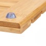 Support de douche Parquet Naturel Bambou (66 x 2,3 x 50 cm)