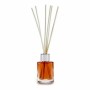 Bâtonnets Parfumés Coco (30 ml) (12 Unités)