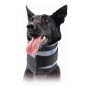 Collarín Cervical para Perros KVP Negro (6-28 cm)