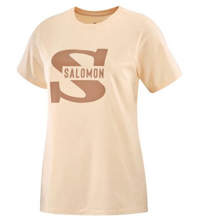 Camiseta de Manga Corta Hombre Salomon Big Logo Nude Beige Marrón