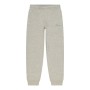 Pantalon de sport long Champion Rib Cuff Double Homme Gris clair