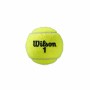 Balles de Tennis Wilson Roland Garros All Court 3 Pièces (Caoutchouc)