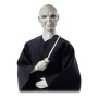 Ensemble de Figurines Harry Potter vs Voldemort Mattel GNR38