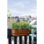 Pot Elho Greenville Easy 21 x 52 x 19,5 cm Marron