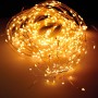 Guirlande lumineuse LED Lumineo Lumière chaude Flash Argenté Blanc (6,9 m)