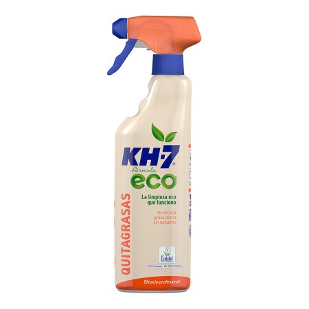 Quitamanchas KH7 (650 ml)