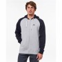 Sudadera con Capucha Hombre Rip Curl Gris claro