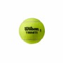 Balles de Tennis Wilson Trinity 3 Pièces