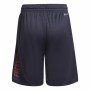 Pantalons de Survêtement pour Enfants Adidas Predator Bleu foncé