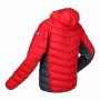 Veste de Sport pour Homme Regatta Harrock Rouge