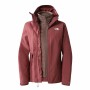 Veste de Sport pour Homme The North Face Carto Rouge carmin