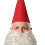 Chapeau Rouge Gnome