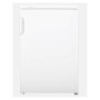 Réfrigérateur Hisense RL170D4AWE Blanc (85 x 55 x 57 cm)