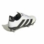 Chaussures de Football pour Adultes Adidas adidas Kakari Blanc