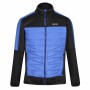 Chaqueta Deportiva para Hombre Regatta Clumber II Hybrid Negro