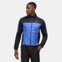 Chaqueta Deportiva para Hombre Regatta Clumber II Hybrid Negro