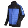 Chaqueta Deportiva para Hombre Regatta Clumber II Hybrid Negro