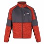 Chaqueta Deportiva para Hombre Regatta Coladane II Naranja