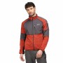 Chaqueta Deportiva para Hombre Regatta Coladane II Naranja