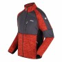 Chaqueta Deportiva para Hombre Regatta Coladane II Naranja