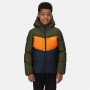 Veste de Sport pour Enfants Regatta Lofthouse VI Olive