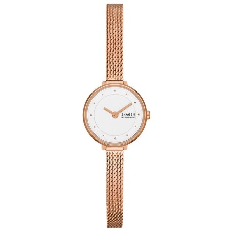 Montre Femme Skagen GITTE LILLE (Ø 22 mm)