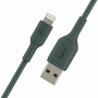 Cable USB a Lightning Belkin CAA001BT1MMG 1 m