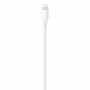 Cable USB C Apple Blanco 1 m (Reacondicionado A+)