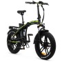 Vélo Électrique Youin BK1600B DUBAI 20" 250W 10000 MAH 25 km/h