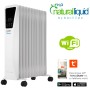 Radiateur Bastilipo RECOFLUID211 2000W