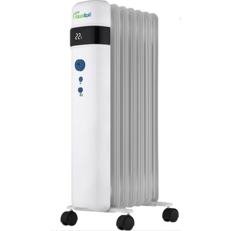 Radiateur Bastilipo RECOFLUID7 1000W