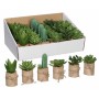 Plante décorative Mica Decorations PVC Succulent