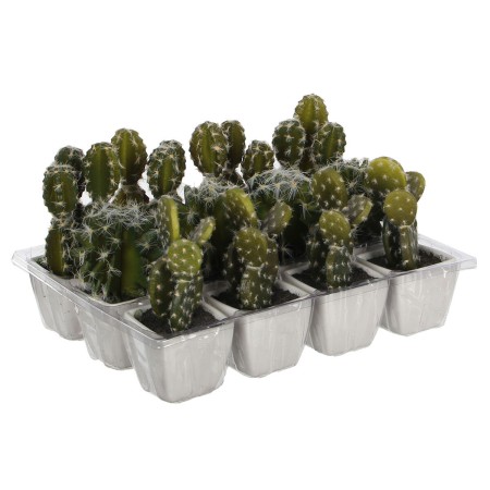 Planta Decorativa Mica Decorations 14 cm Cactus PVC