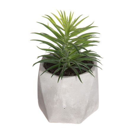 Plante décorative Atmosphera 7 x 14 cm PVC